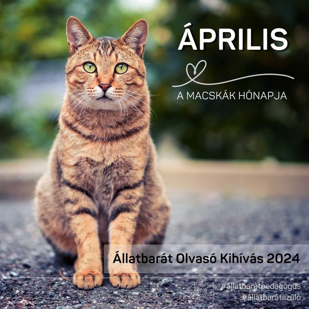 Állatbarát Olvasó Kihívás, április
