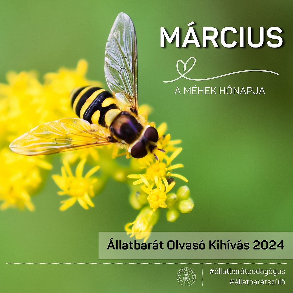 Állatbarát Olvasó Kihívás-március